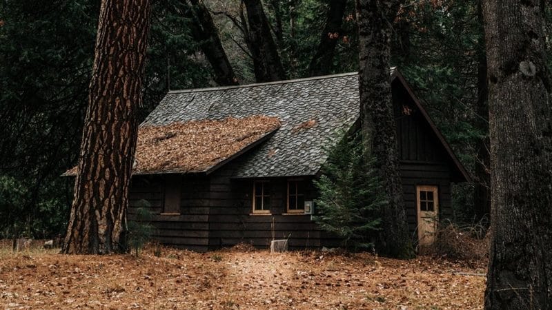 Картинки деревянных домов в лесу (100 фото) #99