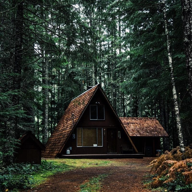 Картинки деревянных домов в лесу (100 фото) #18