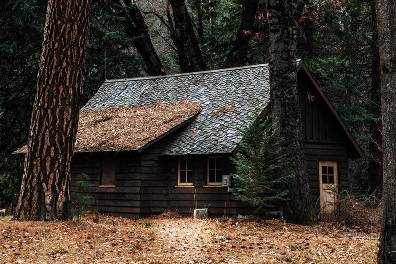 Картинки деревянных домов в лесу (100 фото) #32
