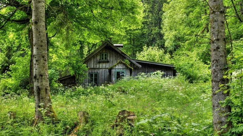 Картинки деревянных домов в лесу (100 фото) #17