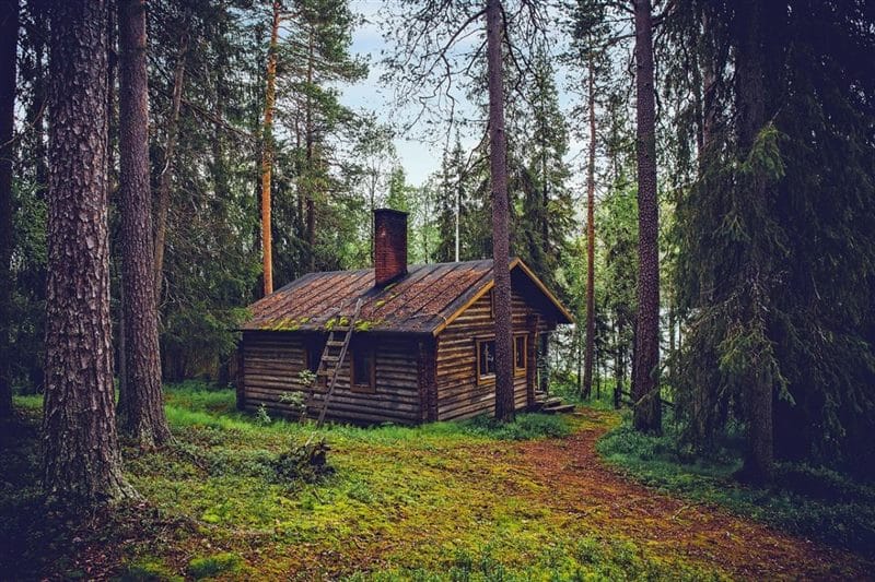 Картинки деревянных домов в лесу (100 фото) #15