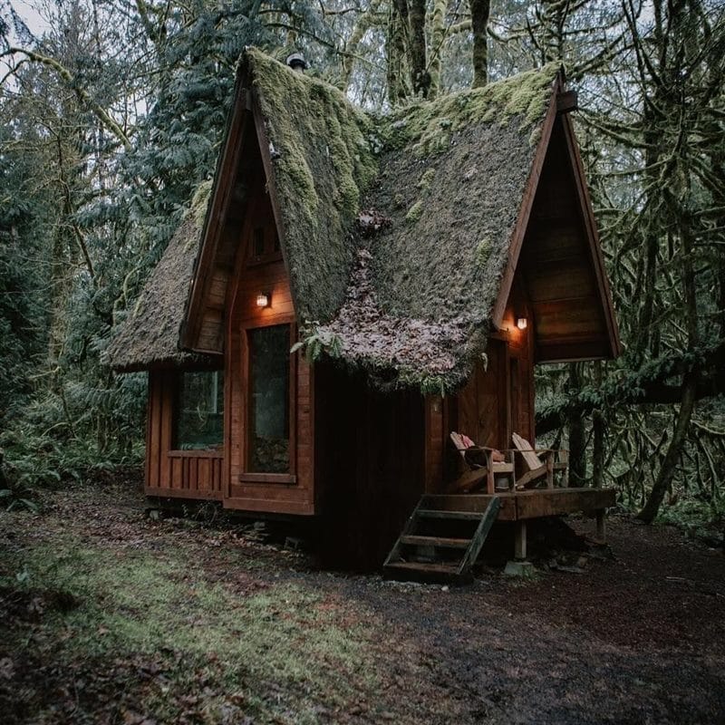 Картинки деревянных домов в лесу (100 фото) #36