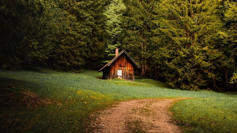 Картинки деревянных домов в лесу (100 фото) #65
