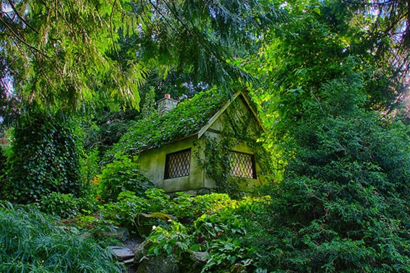 Картинки деревянных домов в лесу (100 фото) #19