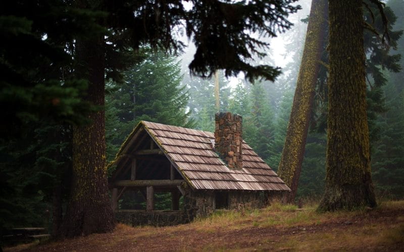 Картинки деревянных домов в лесу (100 фото) #96