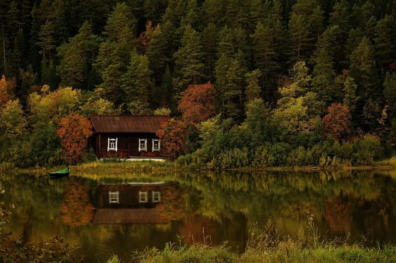 Картинки деревянных домов в лесу (100 фото) #66