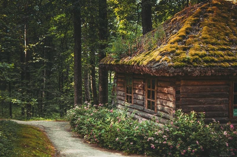 Картинки деревянных домов в лесу (100 фото) #41