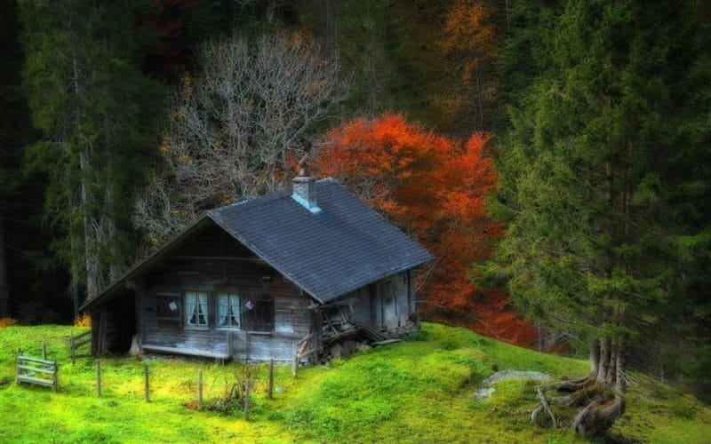 Картинки деревянных домов в лесу (100 фото) #93