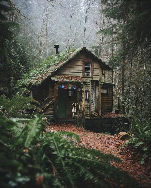 Картинки деревянных домов в лесу (100 фото) #85