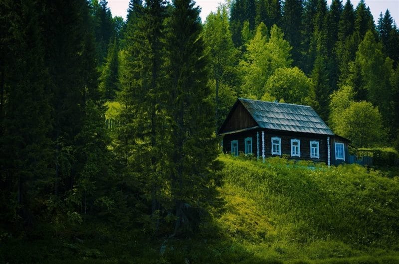Картинки деревянных домов в лесу (100 фото) #67