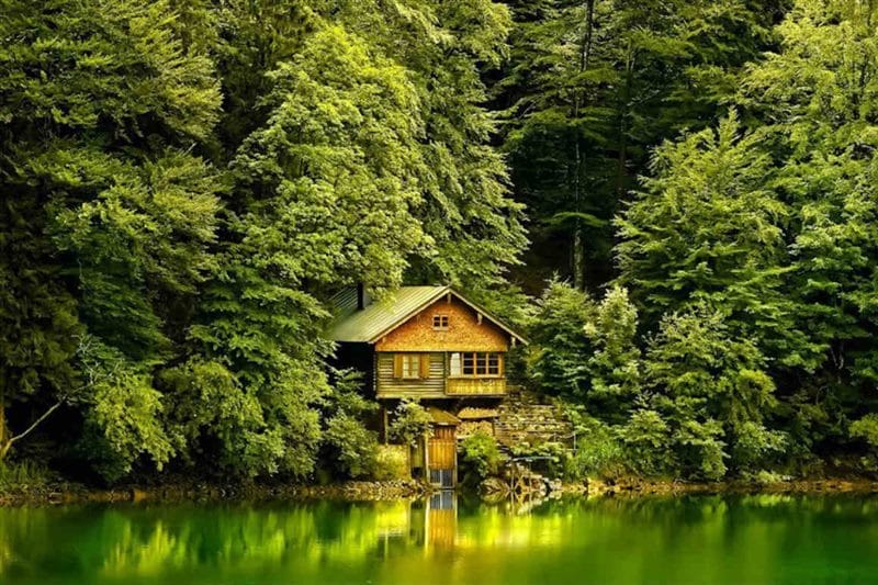 Картинки деревянных домов в лесу (100 фото) #89