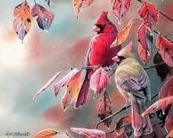 Птицы осенью - красивые картинки (30 фото) #25