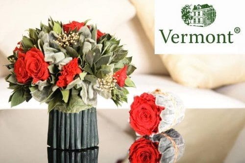 Цветы Вермонт - красивые картинки (25 фото) #6