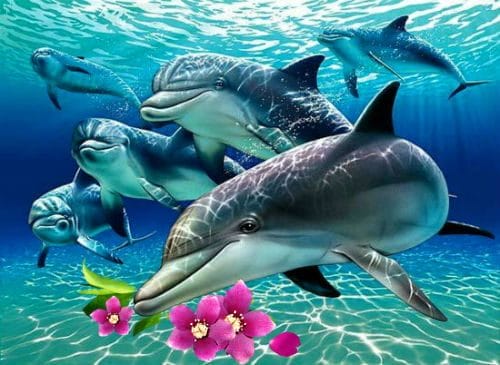 Дельфины - красивые картинки (100 фото) #100