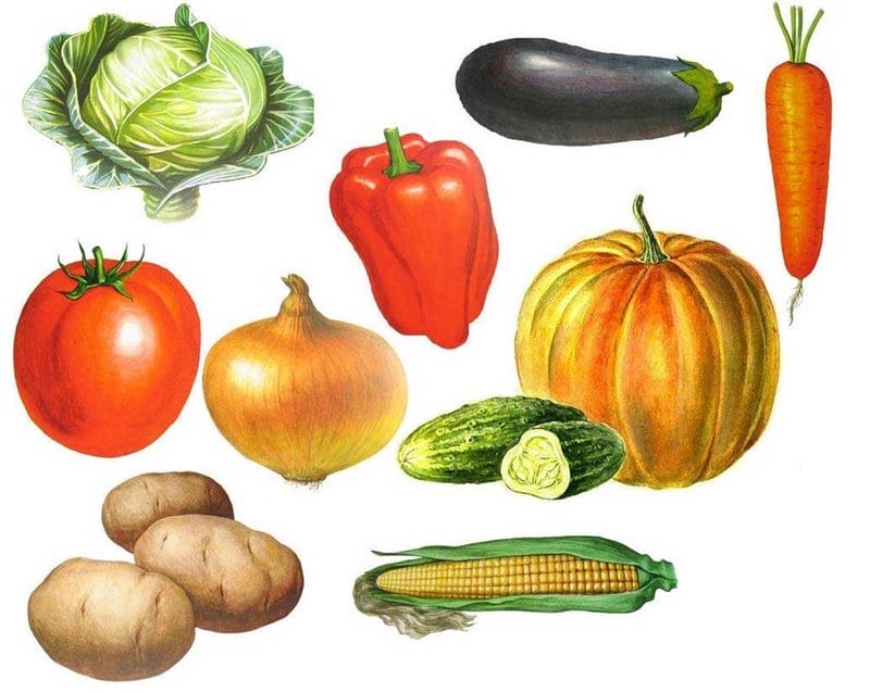 Красивые картинки овощей (100 фото) #70