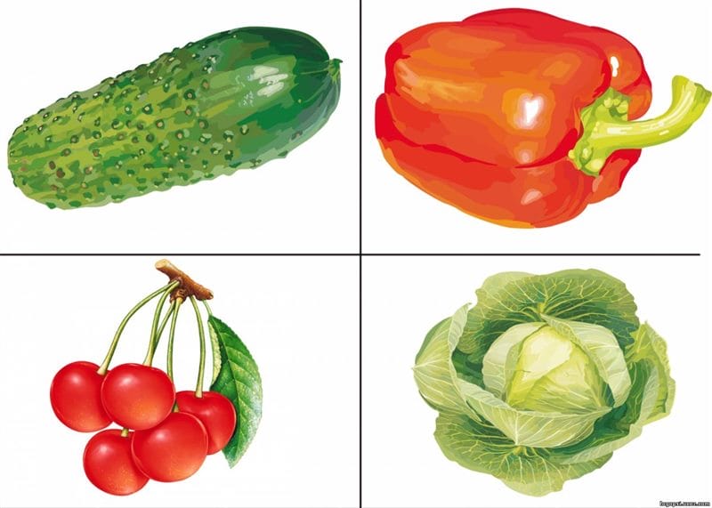 Красивые картинки овощей (100 фото) #60