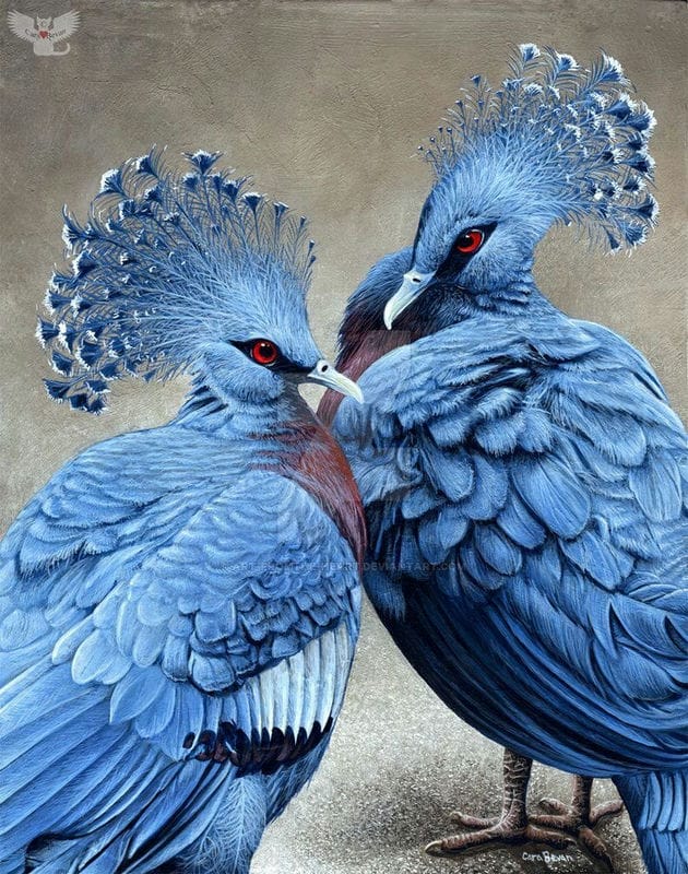 Красивые картинки птиц (100 фото) #36