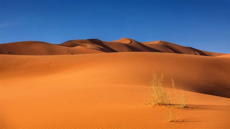 Пустыня - красивые картинки (100 фото) #1