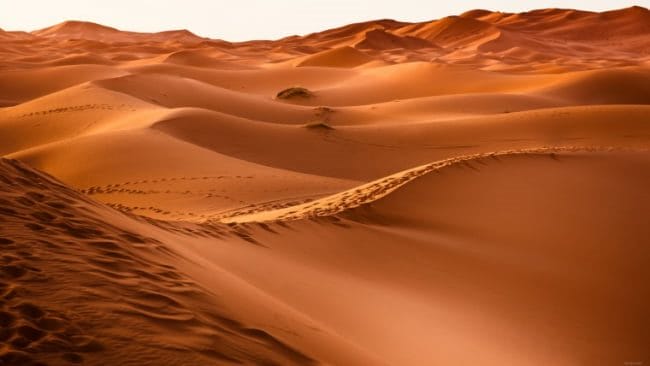 Пустыня - красивые картинки (100 фото) #3