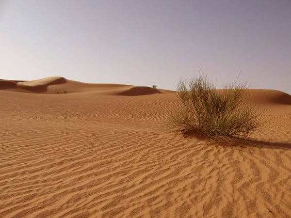 Пустыня - красивые картинки (100 фото) #5