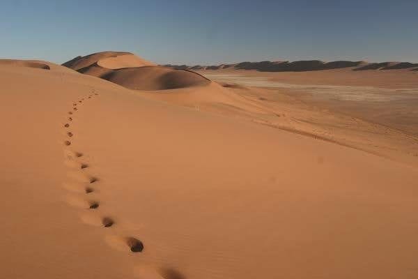 Пустыня - красивые картинки (100 фото) #26