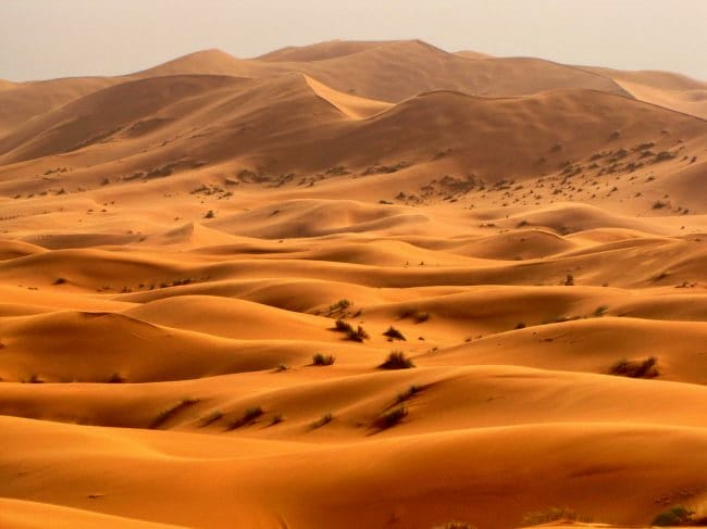 Пустыня - красивые картинки (100 фото) #16