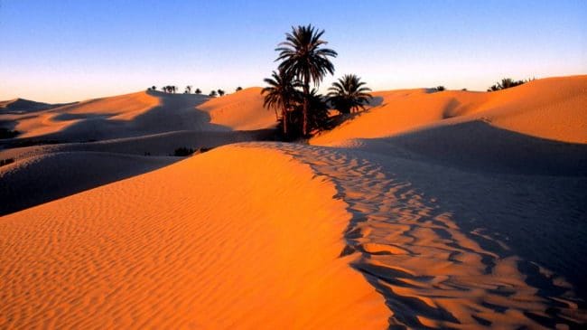 Пустыня - красивые картинки (100 фото) #17