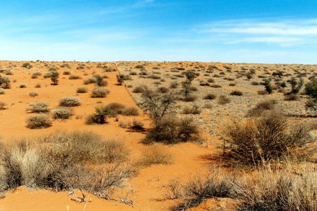 Пустыня - красивые картинки (100 фото) #18