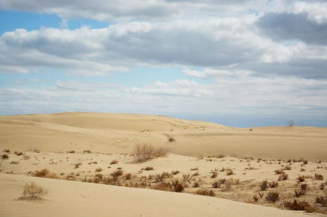 Пустыня - красивые картинки (100 фото) #20