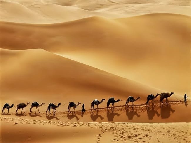 Пустыня - красивые картинки (100 фото) #33