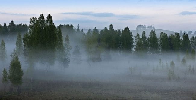Картинки про туман (100 фото) #2