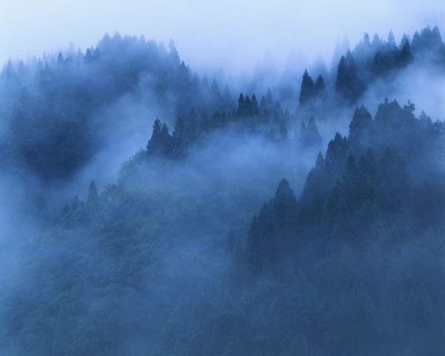 Картинки про туман (100 фото) #10