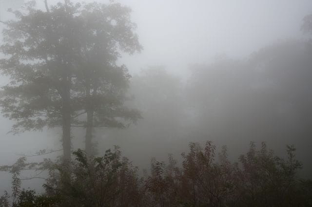 Картинки про туман (100 фото) #13