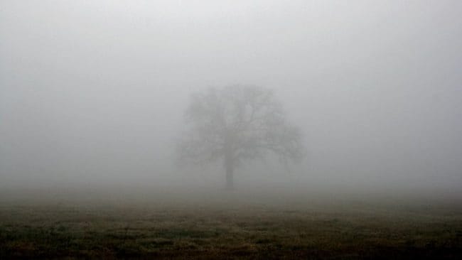 Картинки про туман (100 фото) #31
