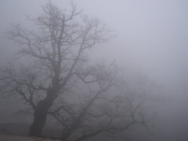 Картинки про туман (100 фото) #8