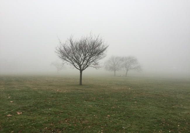 Картинки про туман (100 фото) #29