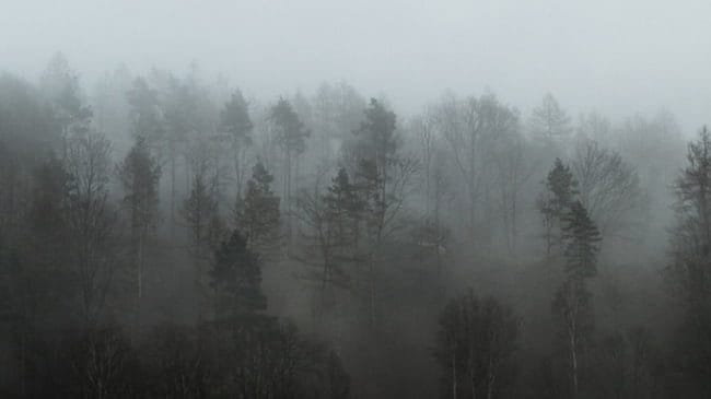 Картинки про туман (100 фото) #35
