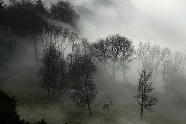 Картинки про туман (100 фото) #92