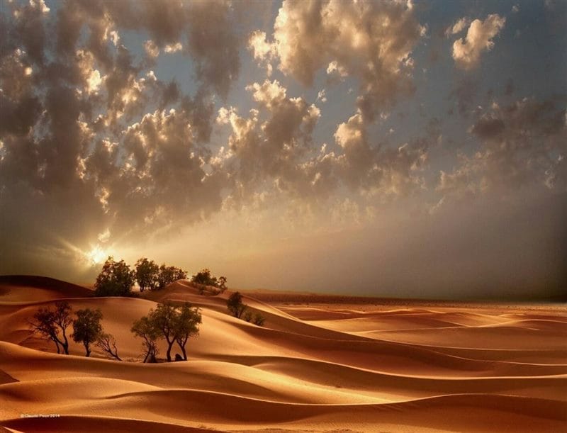 Пустыня - красивые картинки (100 фото) #65