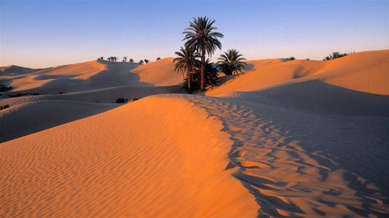 Пустыня - красивые картинки (100 фото) #54
