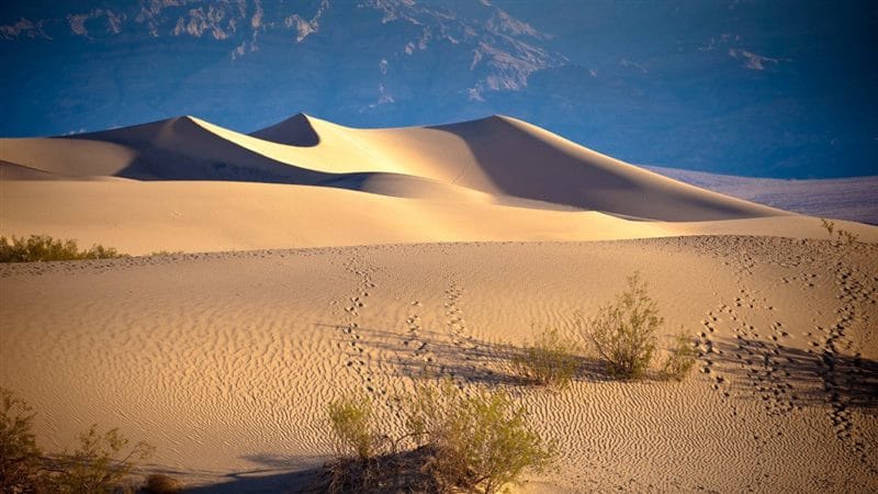 Пустыня - красивые картинки (100 фото) #87