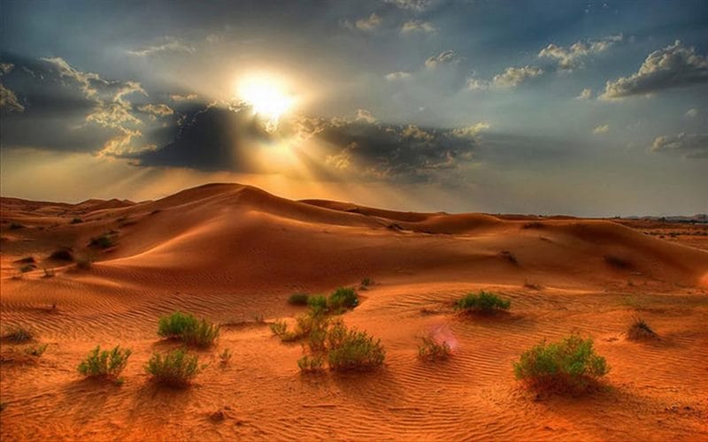 Пустыня - красивые картинки (100 фото) #56