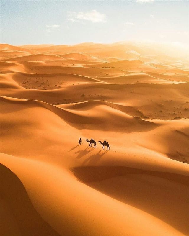 Пустыня - красивые картинки (100 фото) #55
