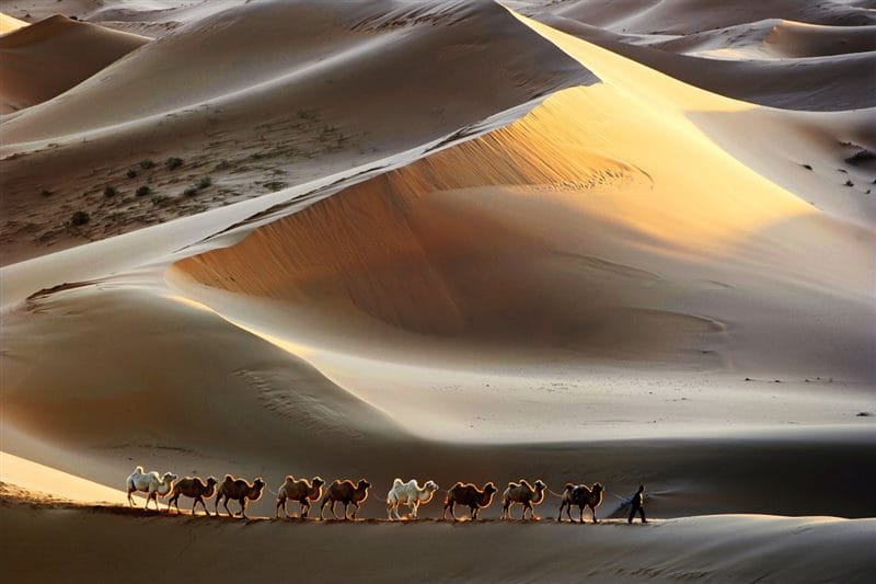 Пустыня - красивые картинки (100 фото) #61
