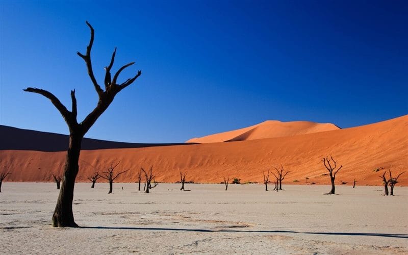 Пустыня - красивые картинки (100 фото) #52