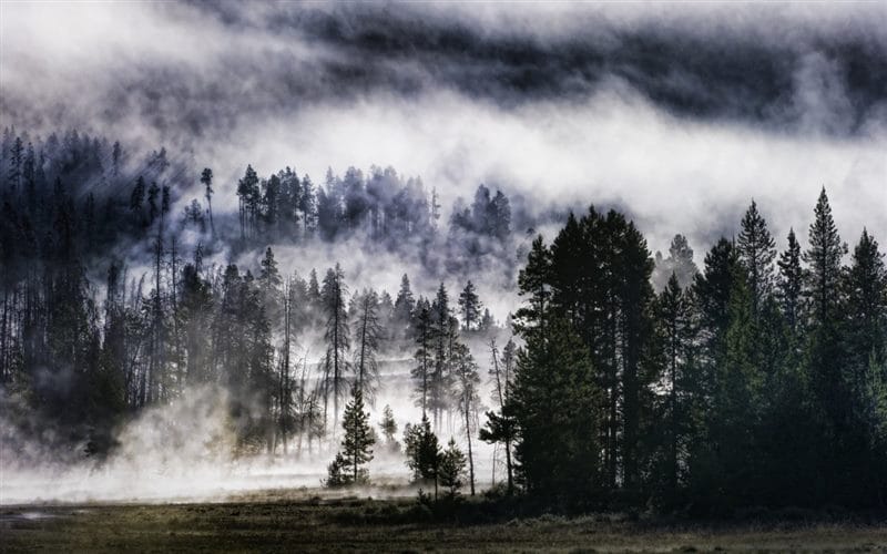 Картинки про туман (100 фото) #63