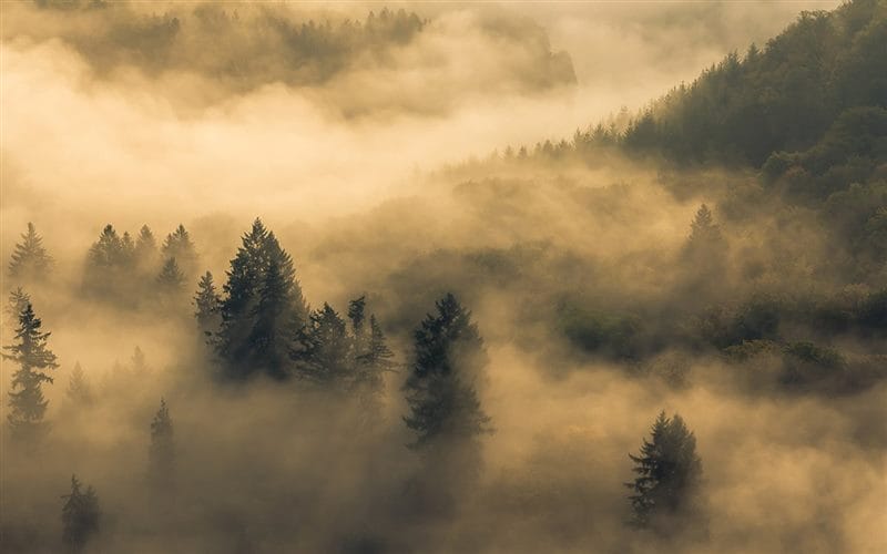 Картинки про туман (100 фото) #89