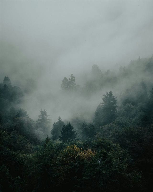 Картинки про туман (100 фото) #60