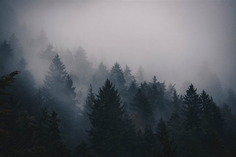 Картинки про туман (100 фото) #88