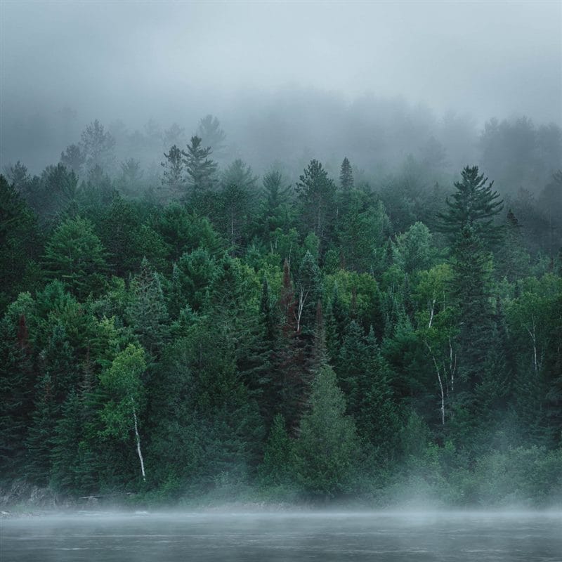 Картинки про туман (100 фото) #44